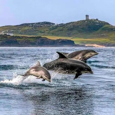 Cosy Portmor Log Cabin- Sea Views, Deck & Relaxation Apartmán Malin Head