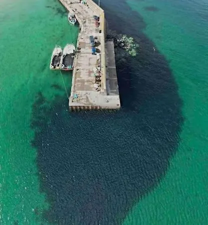 Διαμέρισμα Cosy Portmor Log Cabin- Sea Views, Deck & Relaxation