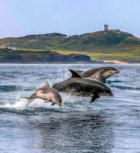 Cosy Portmor Log Cabin- Sea Views, Deck & Relaxation Appartement Malin Head